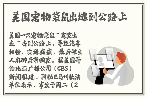 麻豆视传媒短视频